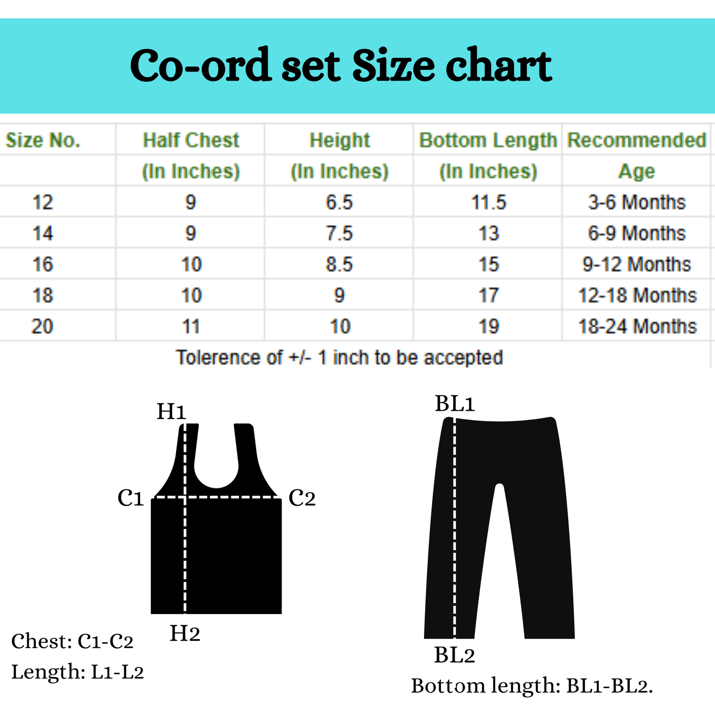 Ashoka Chakra Co-ord Set