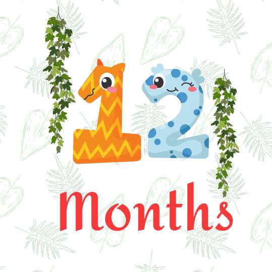 12 months