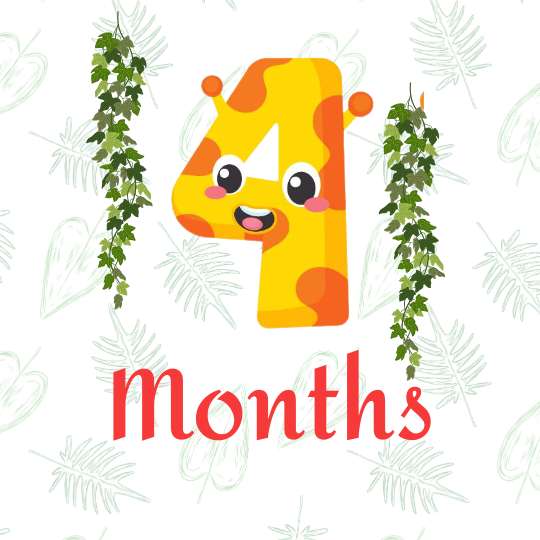 4 months