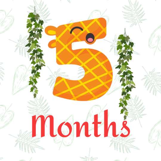 5 months