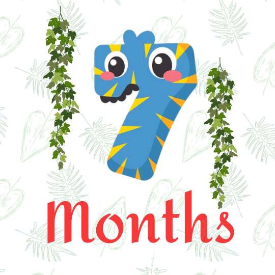 7 months