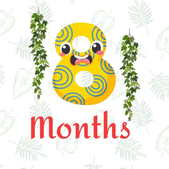 8 months